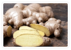 Himalayan-Mountain-Ginger