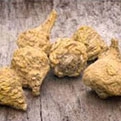Maca-Root-Extract